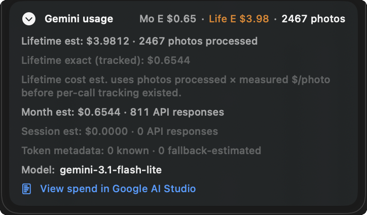 Caption Caddie Gemini usage panel showing 2467 photos processed for 3.98 dollars lifetime estimated cost